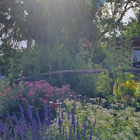 Apartmán Zur Ellernmuehle