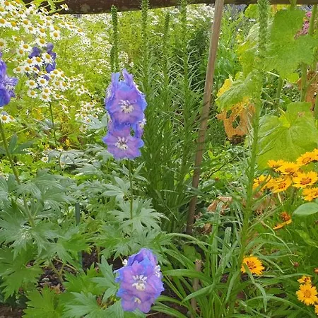 公寓 Zur Ellernmuehle