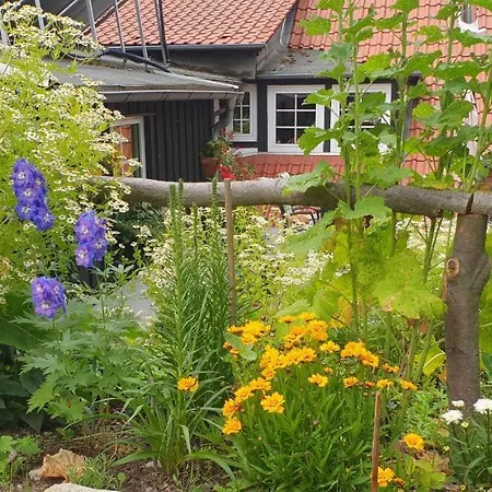 Zur Ellernmuehle Apartmán Bad Suderode