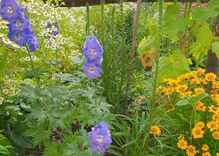 公寓 Zur Ellernmuehle