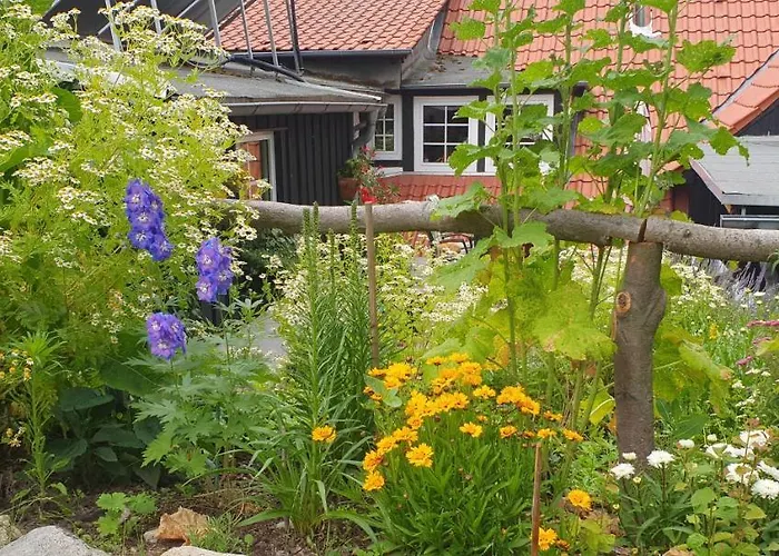 Zur Ellernmuehle Lejlighed Bad Suderode