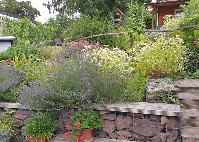 Zur Ellernmuehle Апартаменты